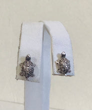 Tortoise silver stud Earrings