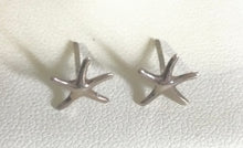 Starfish stud Earrings